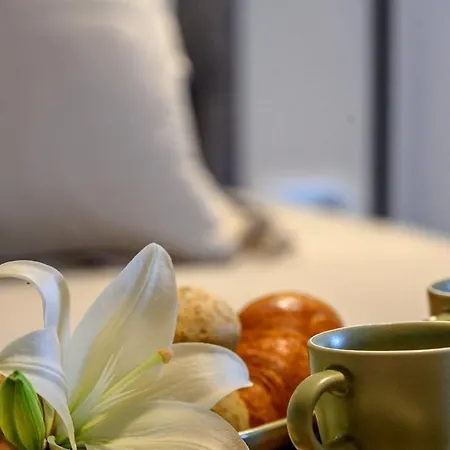 Luxury Adris With Heated Pool, Gym, Sauna - Split Villa *