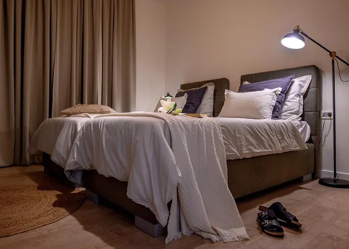 Luxury Adris With Heated Pool, Gym, Sauna - Split Villa